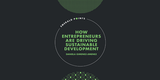 Book Cover "How Entrepreneurs are Driving Sustainable Development"